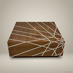 Contemporary Geometric Inlay Solid Wood Square Coffee Table 01