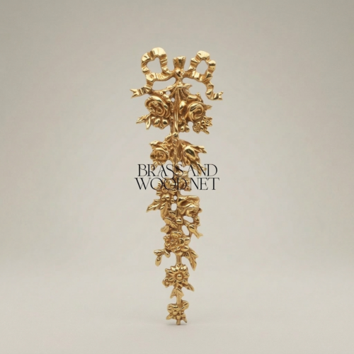 Rococo Brass Wall Ornament Cascading Floral Bouquet with Ribbon Bow - Brass & Wood Gold Front | Brass & Wood